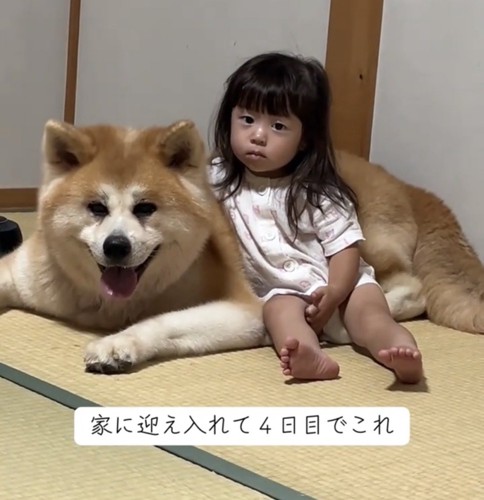 犬にぴったり寄り添う子ども