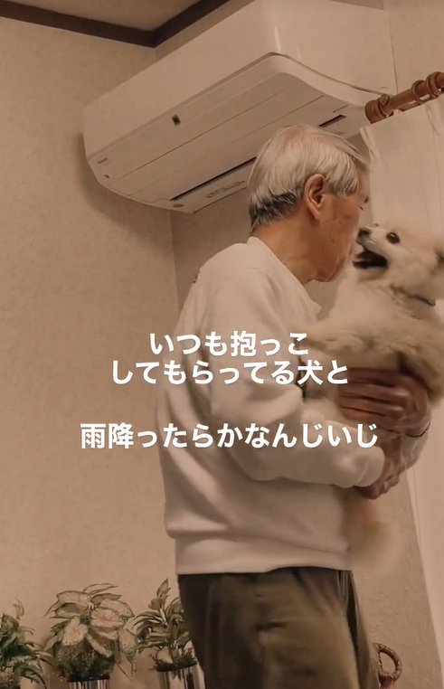 おじいちゃんに抱っこされている小型犬