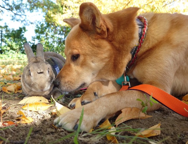 ずっとそばにいる風太くん