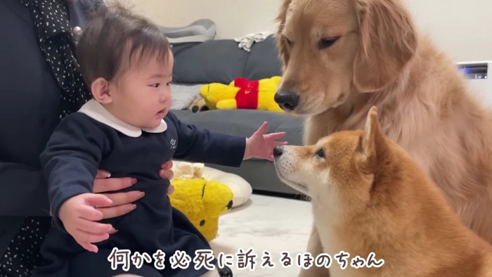 病院に行ってくるね