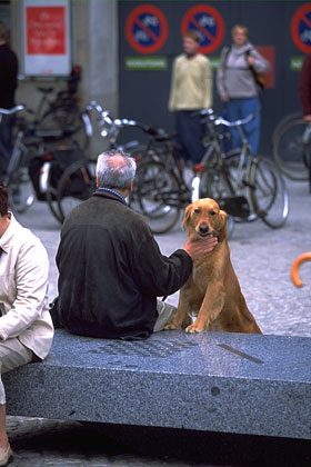 人と犬