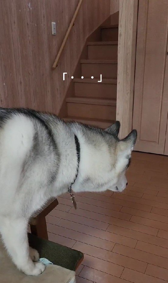 「出られた、か…」