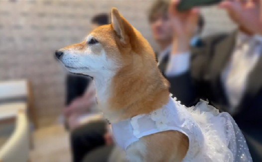 「幸せになってね」