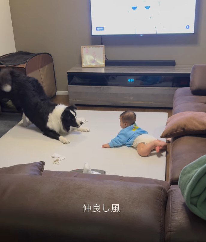 こり男くんと赤ちゃん⑩