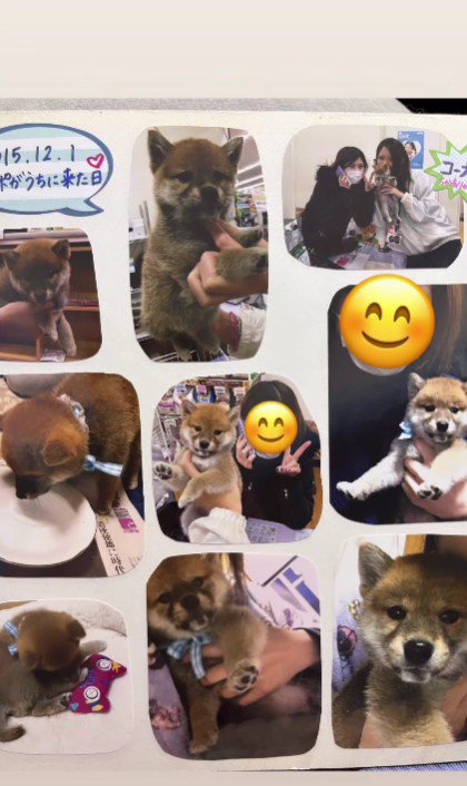 たくさんの思い出