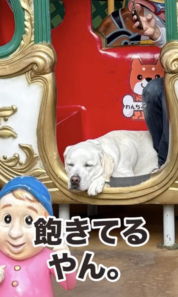 寝た！！