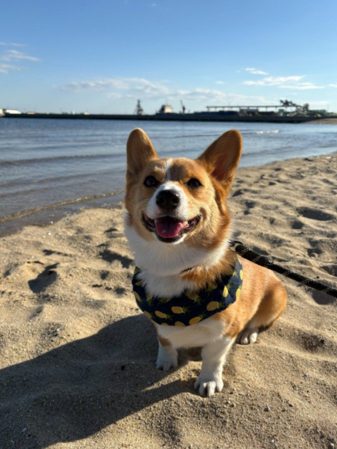海辺をお散歩した時の笑顔♪
