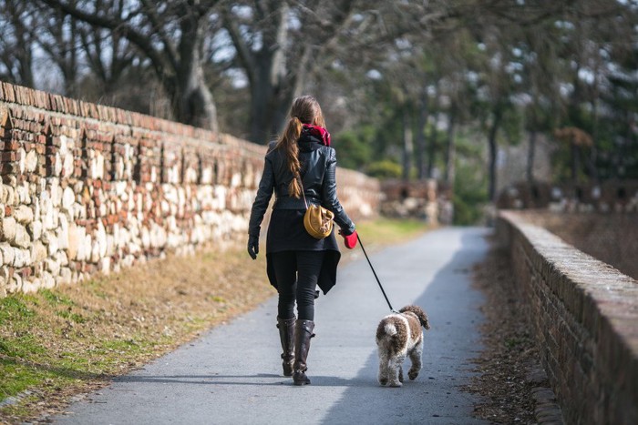 散歩する人と犬