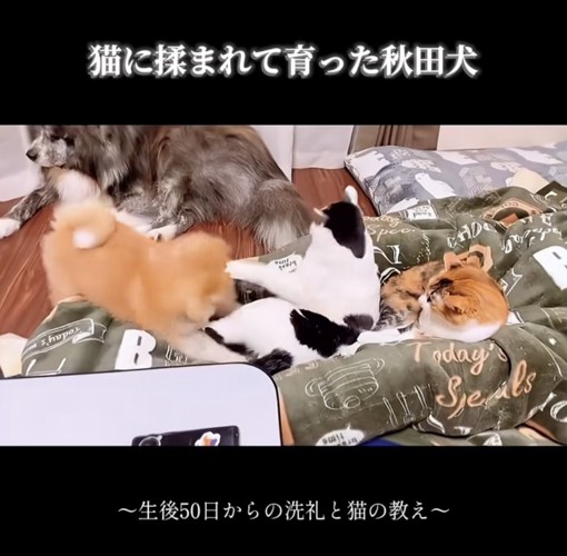 クリーンヒット！！