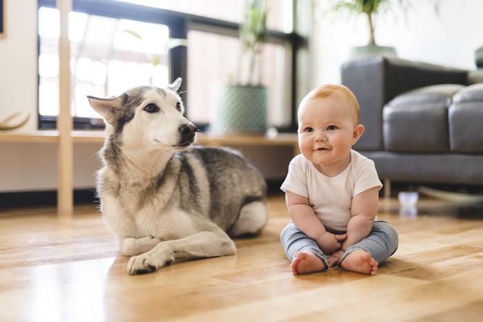 隣に座る赤ちゃんと犬