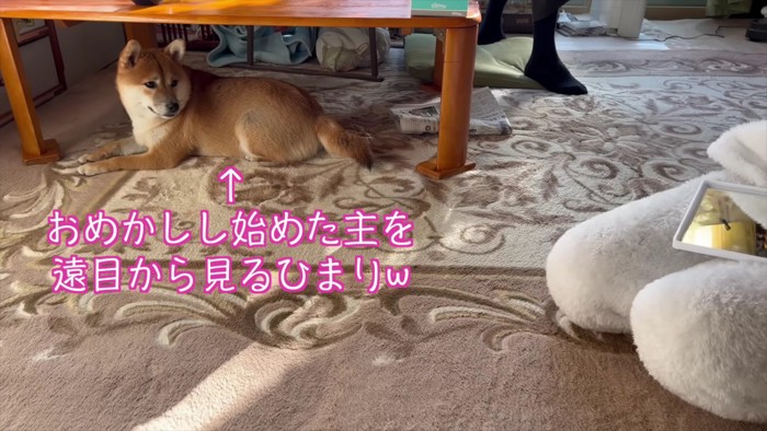 飼い主さんがおでかけ