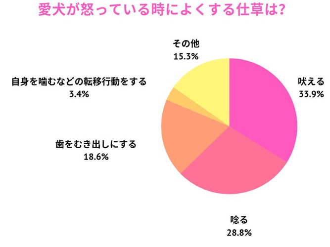 アンケートの結果