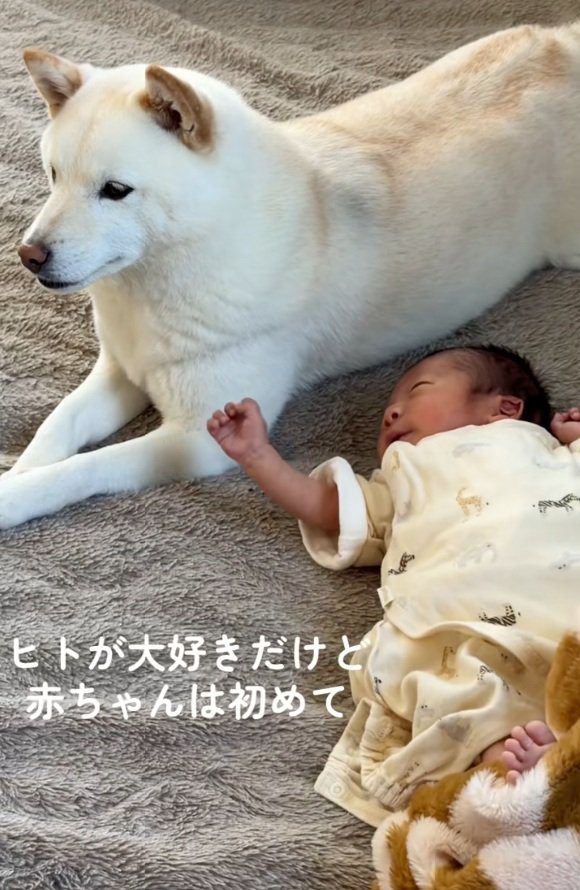 初対面のふたり