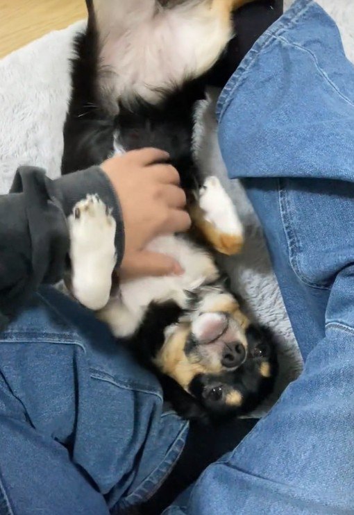 甘えん坊全開で歓迎♡