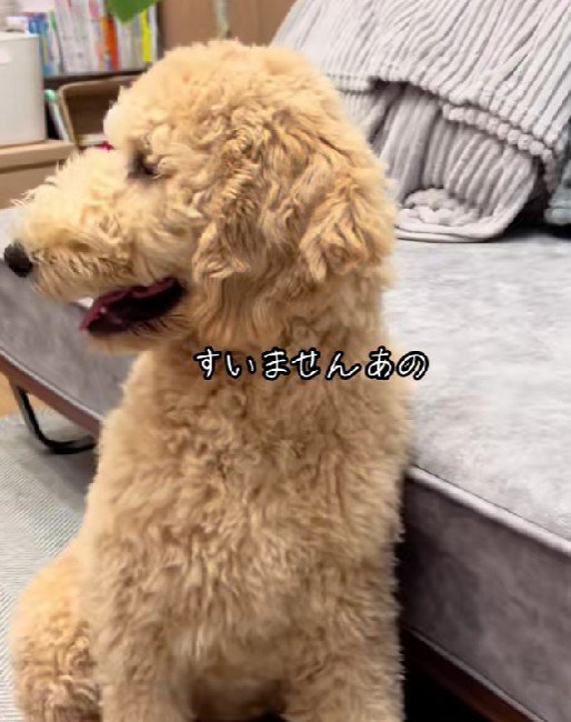 「もしかして…?」