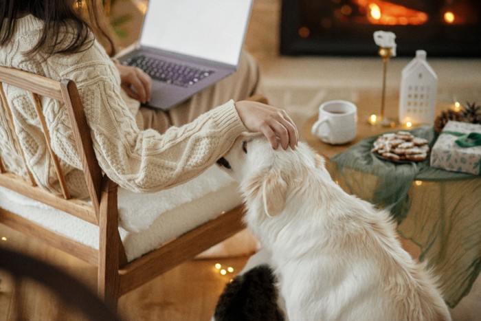 女性と犬