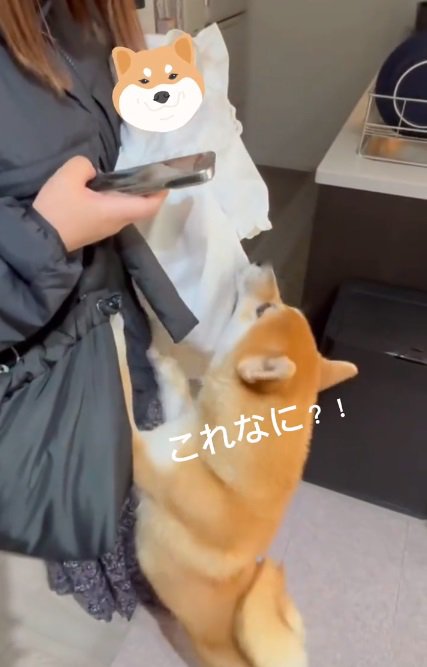 赤ちゃんに気づいたおもちくん