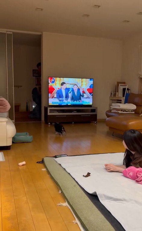 大きなぬいぐるみを見た貂ちゃん8