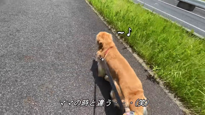 ルンルンで遥か遠くへ