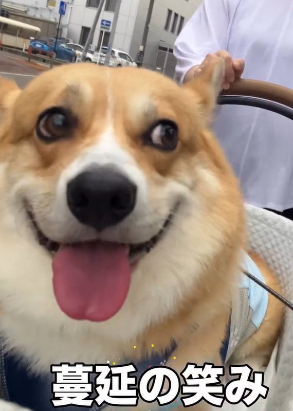 笑顔のジノくん2