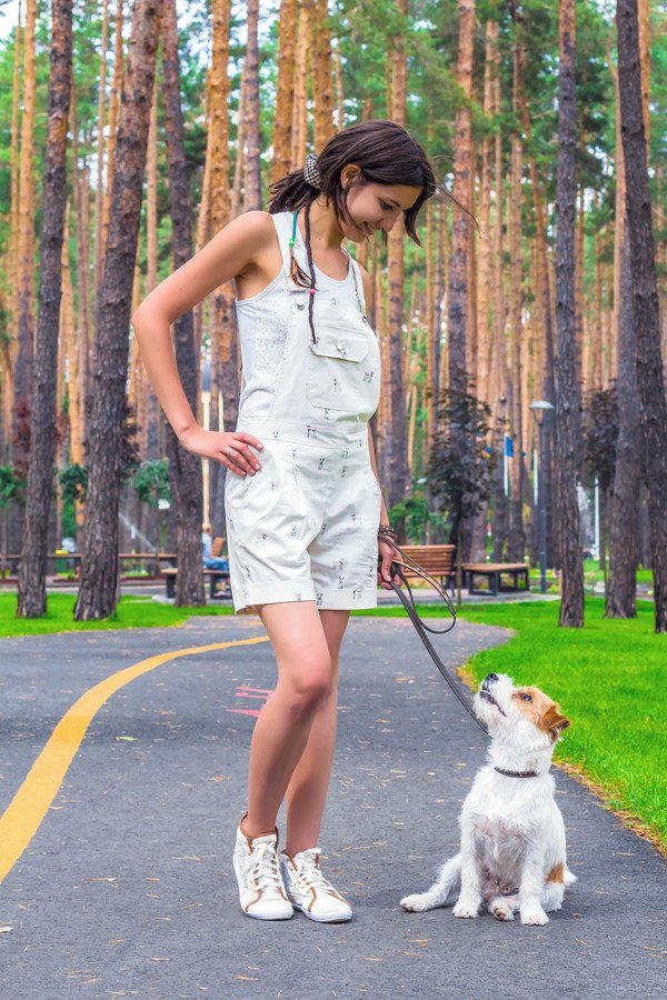 飼い主さんと見つめ合う犬