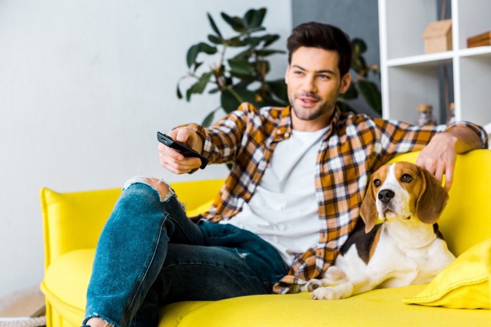 テレビを見ている男性と犬