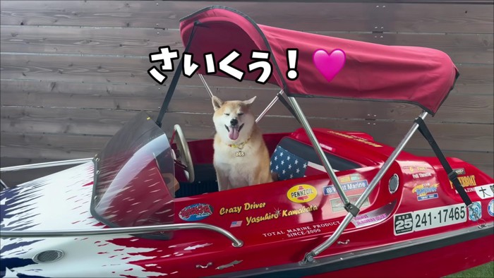 おもちちゃんは乗り物が大好き!