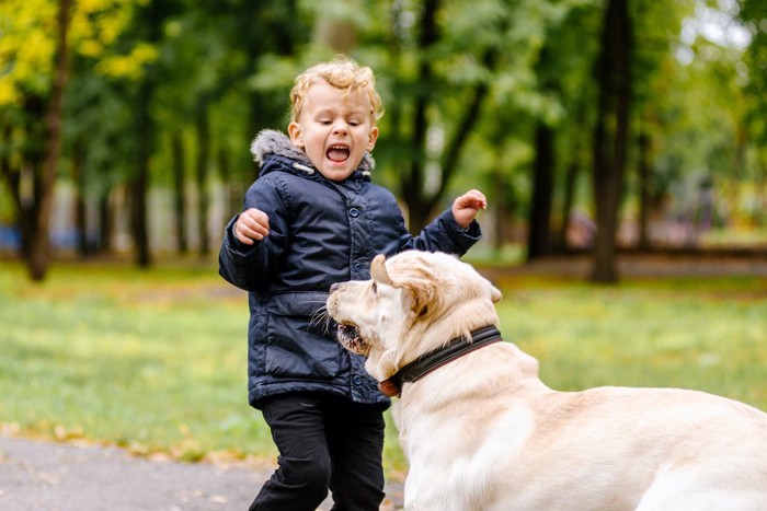 ノーリードの犬に驚いて叫ぶ子供