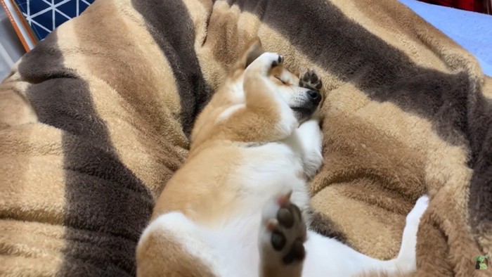 「眠いけど、まだ寝たくないよ~」