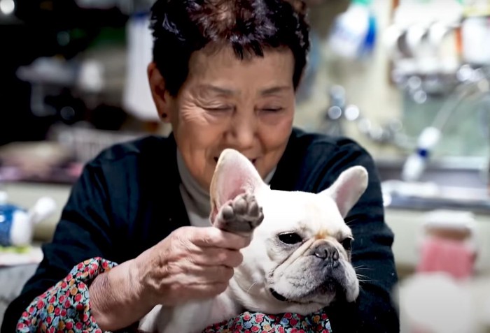 犬を抱っこするおばあちゃん