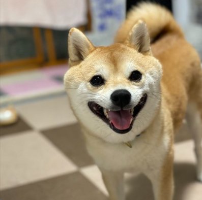 ニコニコ