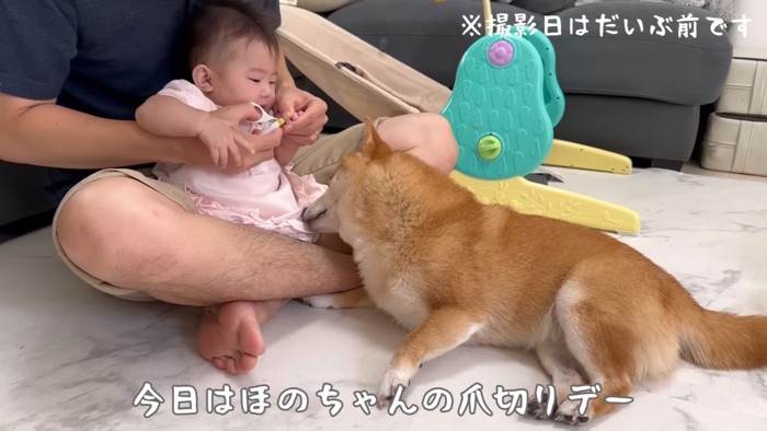 赤ちゃんの爪を切ることに