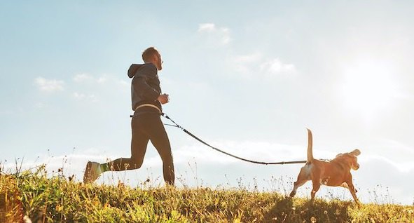 男性と一緒に走って散歩をする犬