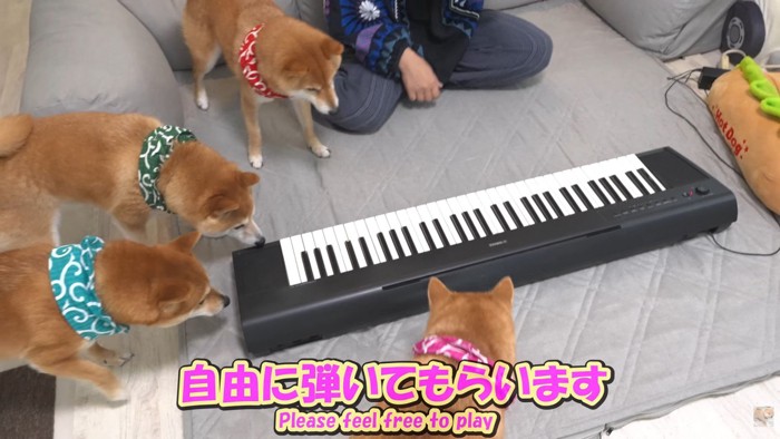ピアノの周りに集合