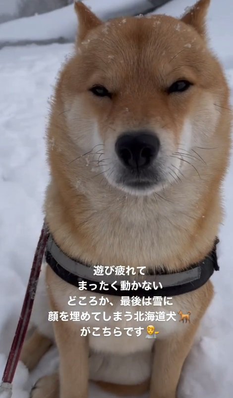 ウトウトしちゃってる…！