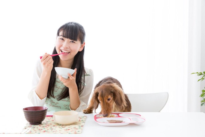 食事をする女性とダックスフンド