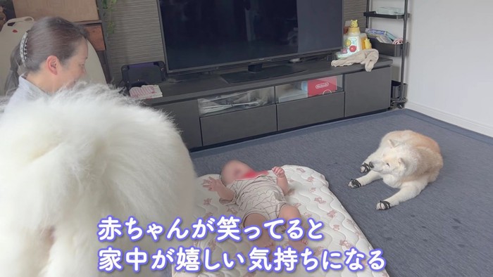 平和な時間が流れます