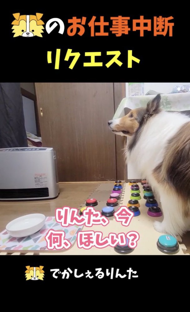 ママの質問
