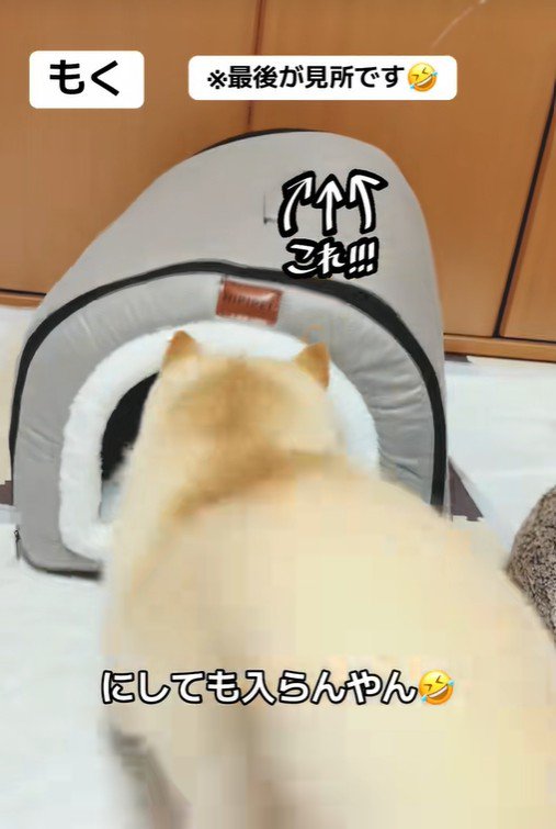 「うっ、狭すぎて無理…！」