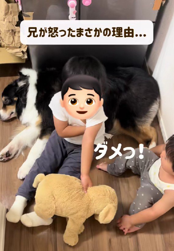 レアちゃんを叩いちゃった！！