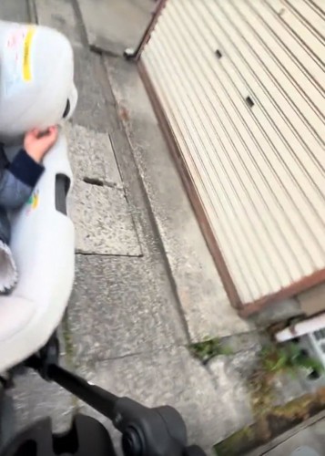 お散歩中