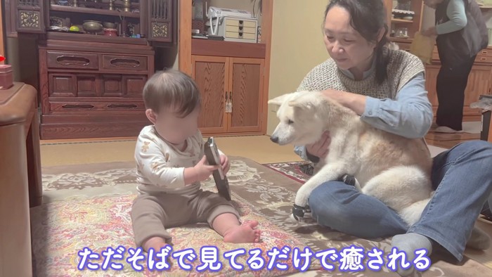 微笑ましい光景