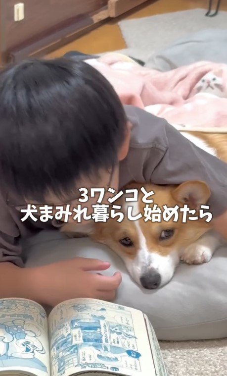 3匹のわんこと賑やかな生活に