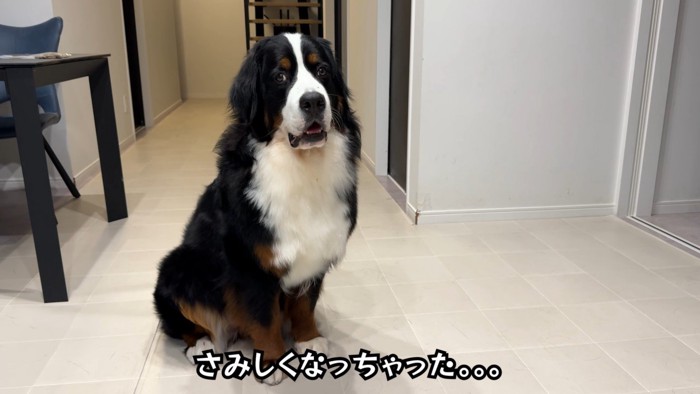 寂しそうなお顔!