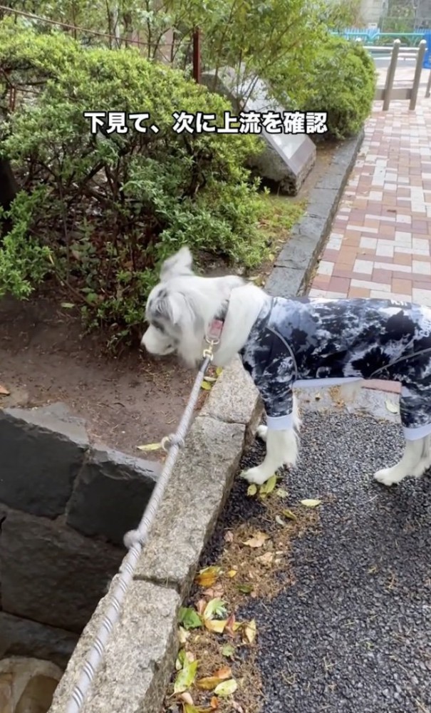 なんでだろ