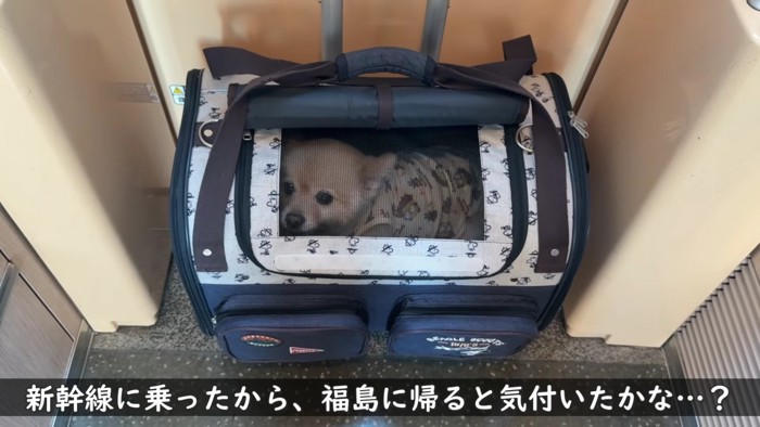 7ヶ月ぶりに帰省