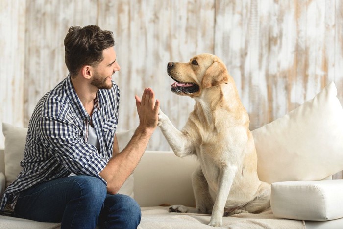 ハイタッチしている男性と犬