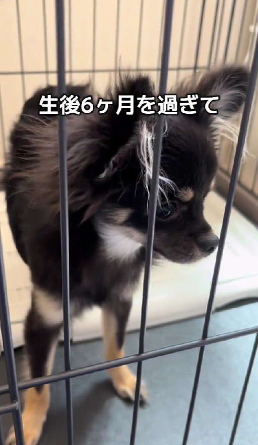 生後6ヶ月を越して…