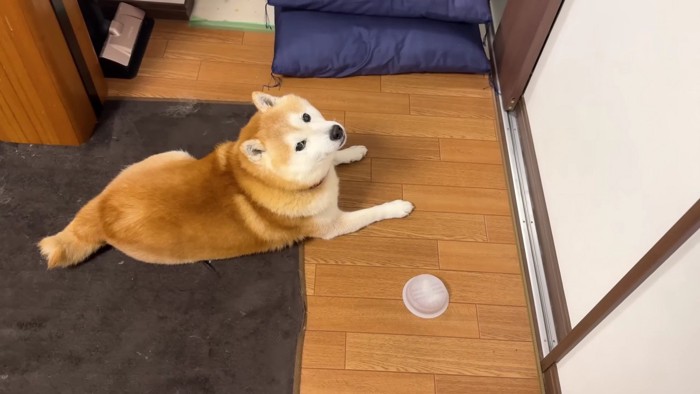 投稿主さんと一緒にのんびり