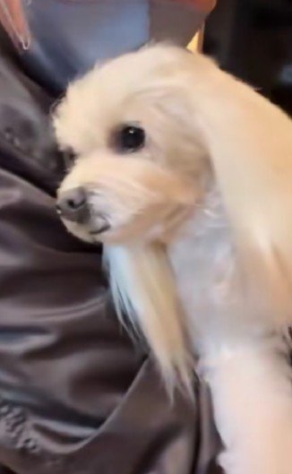 久しぶりの抱っこ